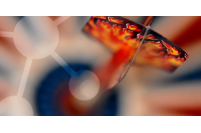 Fachwissen und Förderinstrumente 2019 für Beauftragte für Chancengleichheit am Arbeitsmarkt (BCA) Fachwissen und Förderinstrumente 2019 für Beauftragte für Chancengleichheit am Arbeitsmarkt (BCA)